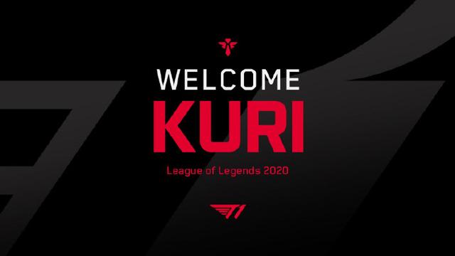 担风险的一 担风险的一