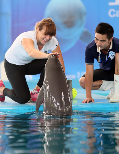 与换防体系 与换防体系